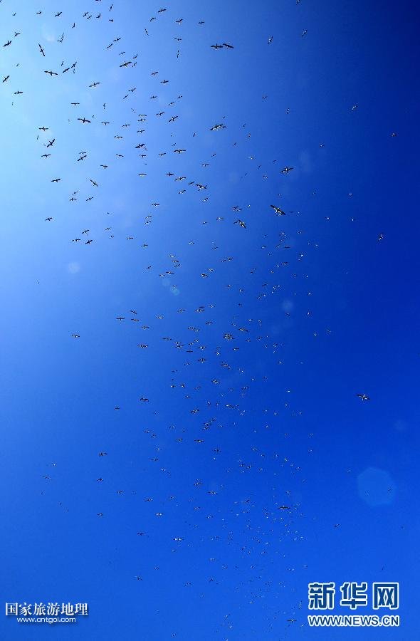 (國際·關注文化遺產)(11)聖基爾達島:被遺棄的文明